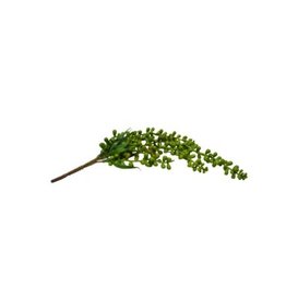 Nostalgia Greenery Nostalgia 778-028