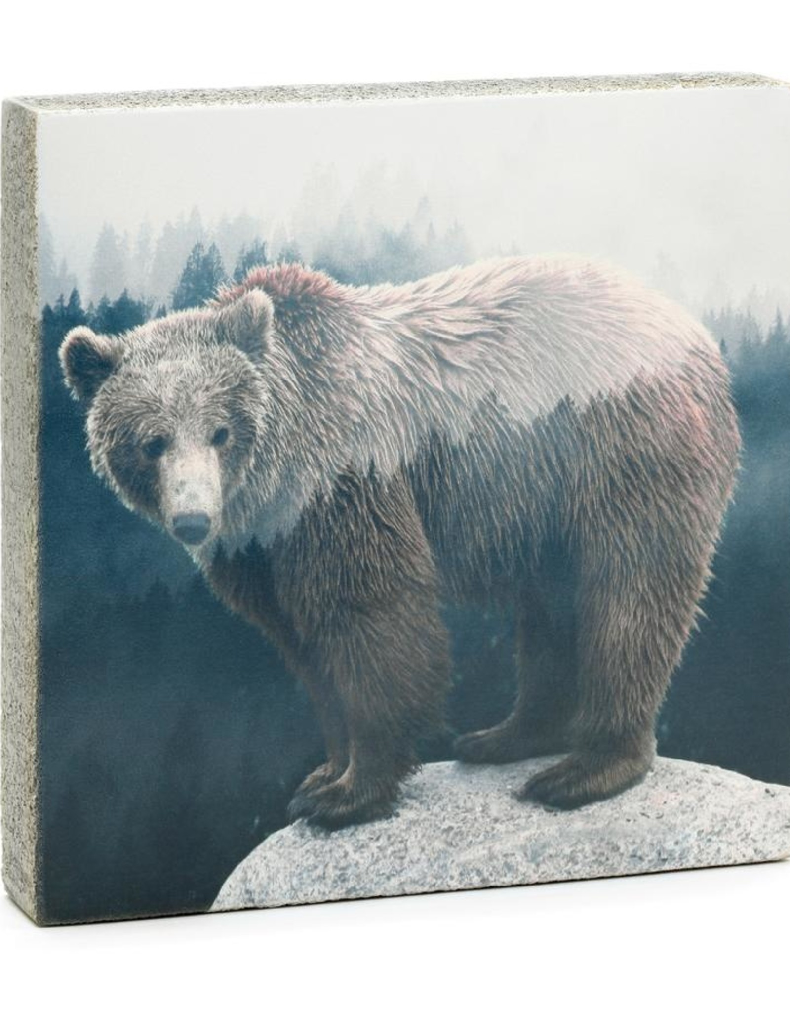 Cedar Mountain Cedar Mountain Art Block Forrest Bear