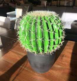 Cactus Danson