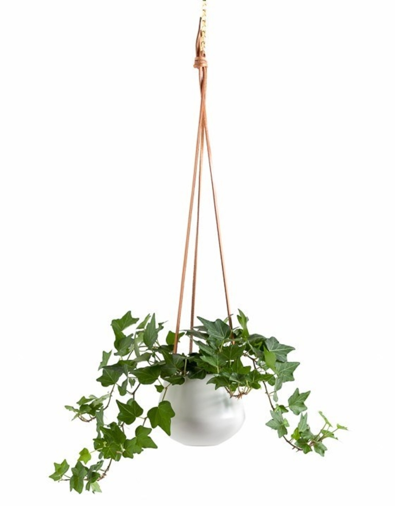 Planter T&T Hanging Ceramic Ashbury White 5” 902919A