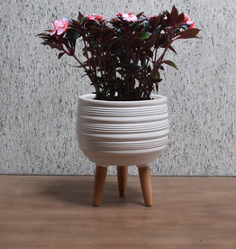 Cathay Planter Cathay Jocey Matte White 08-1992