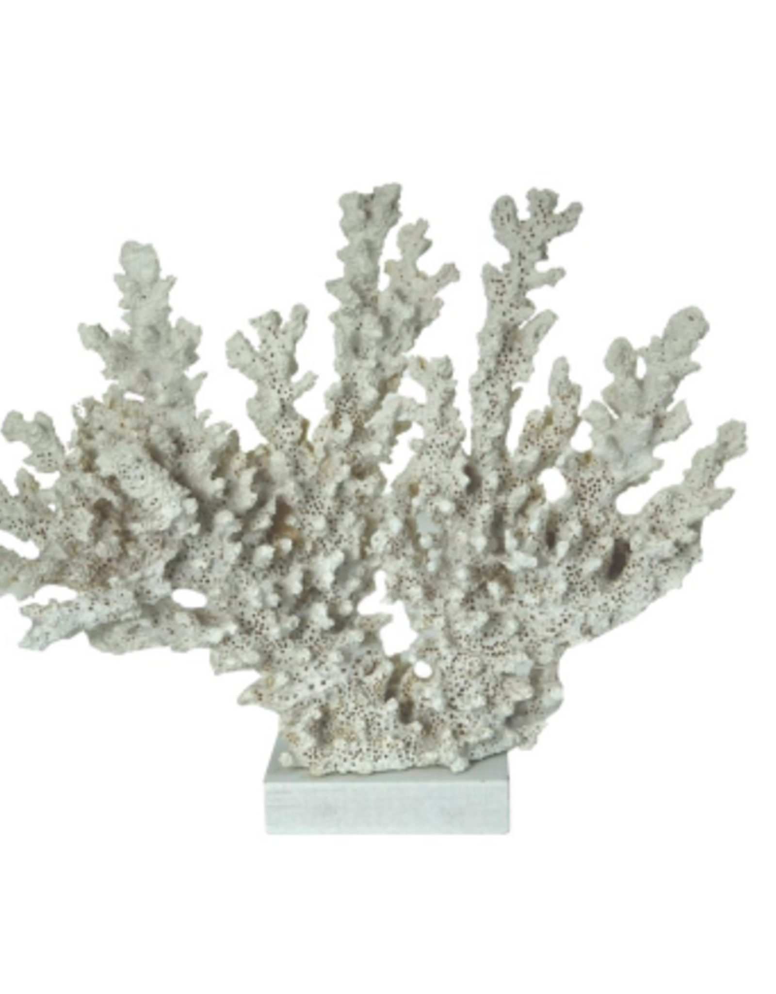 Nostalgia Coral Nostalgia White 818-038