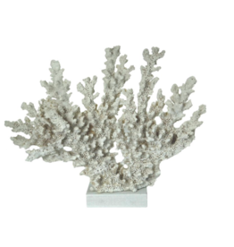 Nostalgia Coral Nostalgia White 818-038