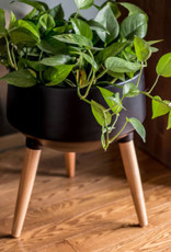 Style In Form Planter SIF Circa Mood Black AGW-007