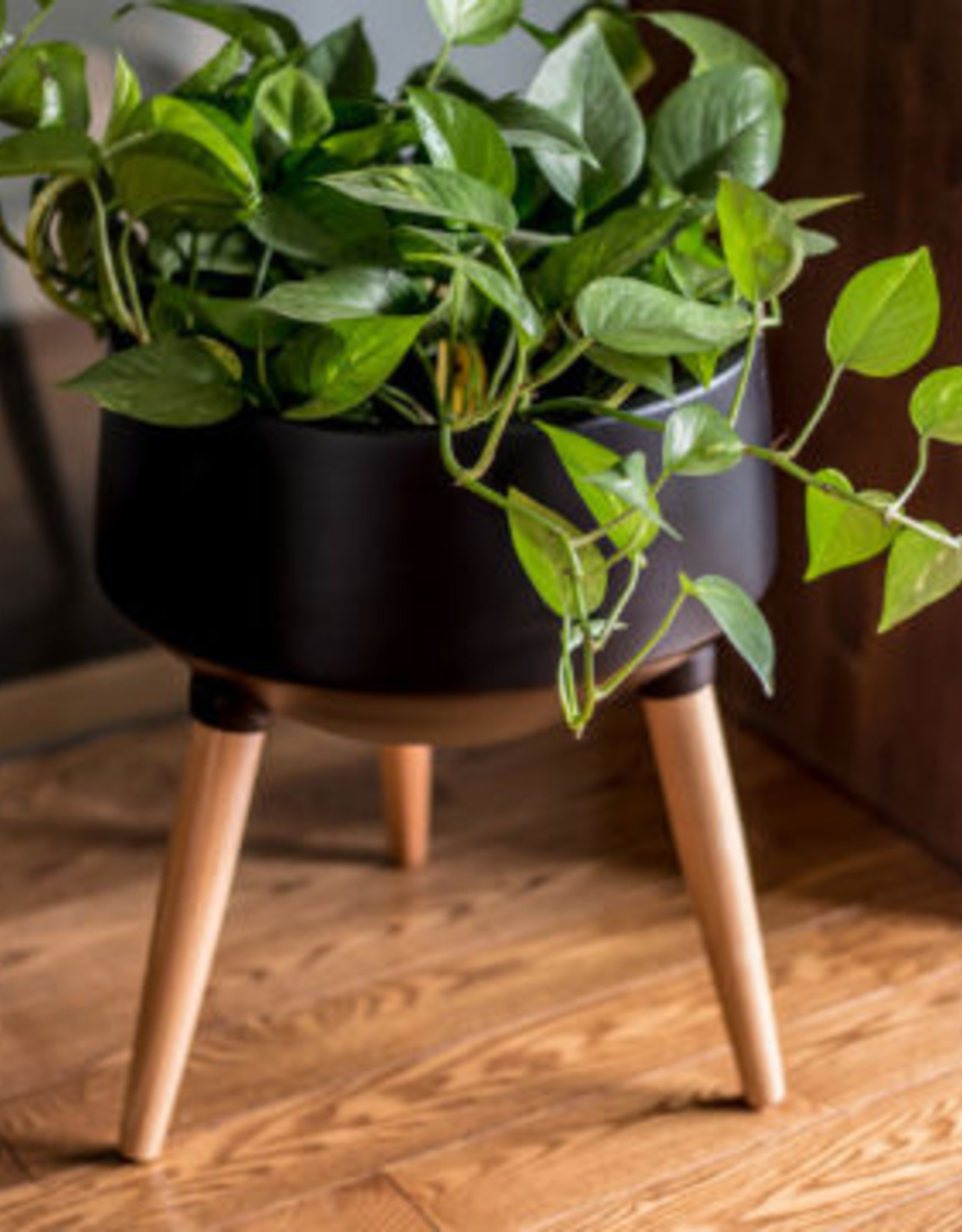 Style In Form Planter SIF Circa Mood Black AGW-007