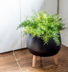 Style In Form Planter SIF Circa Pot Black AGW-006