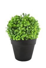 Nostalgia Plant Nostalgia Greenery Brown Pot 732-020