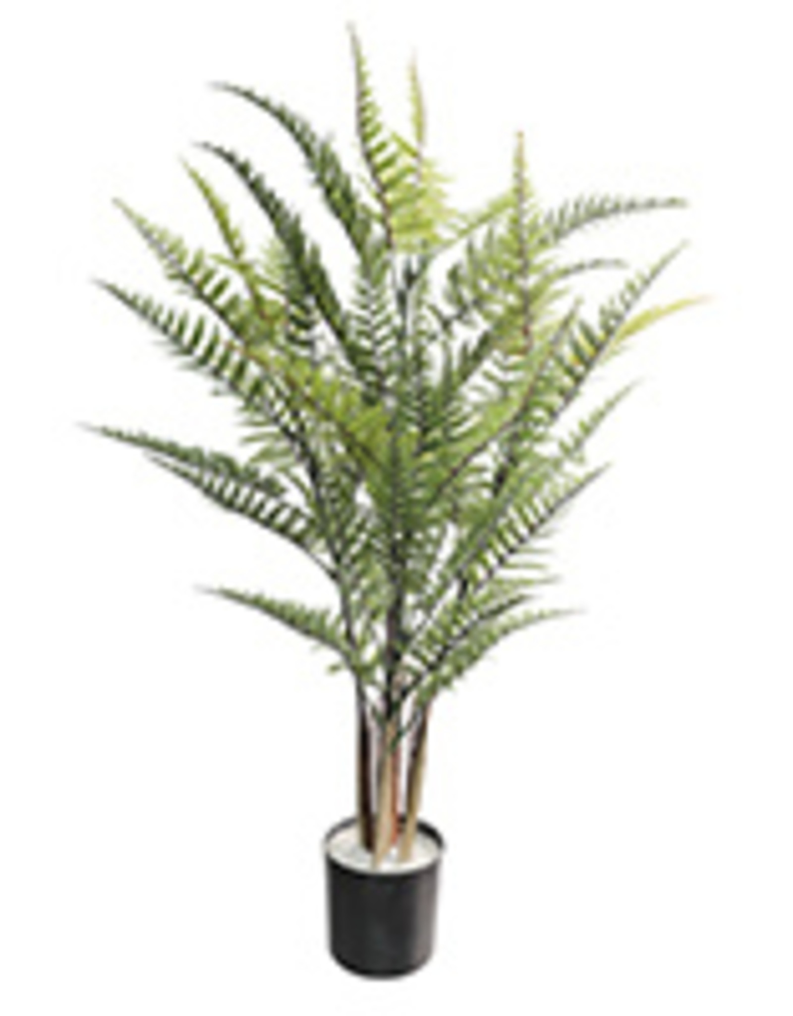 Plant Danson Plastic Leather Fern 36” 21681