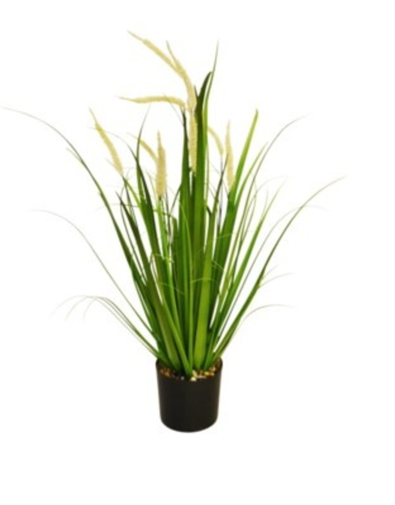 Nostalgia Grass Nostalgia Bundle in Pot Green White 868-007