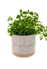 Indaba Planter Pot Indaba You Grow Girl 3-9308