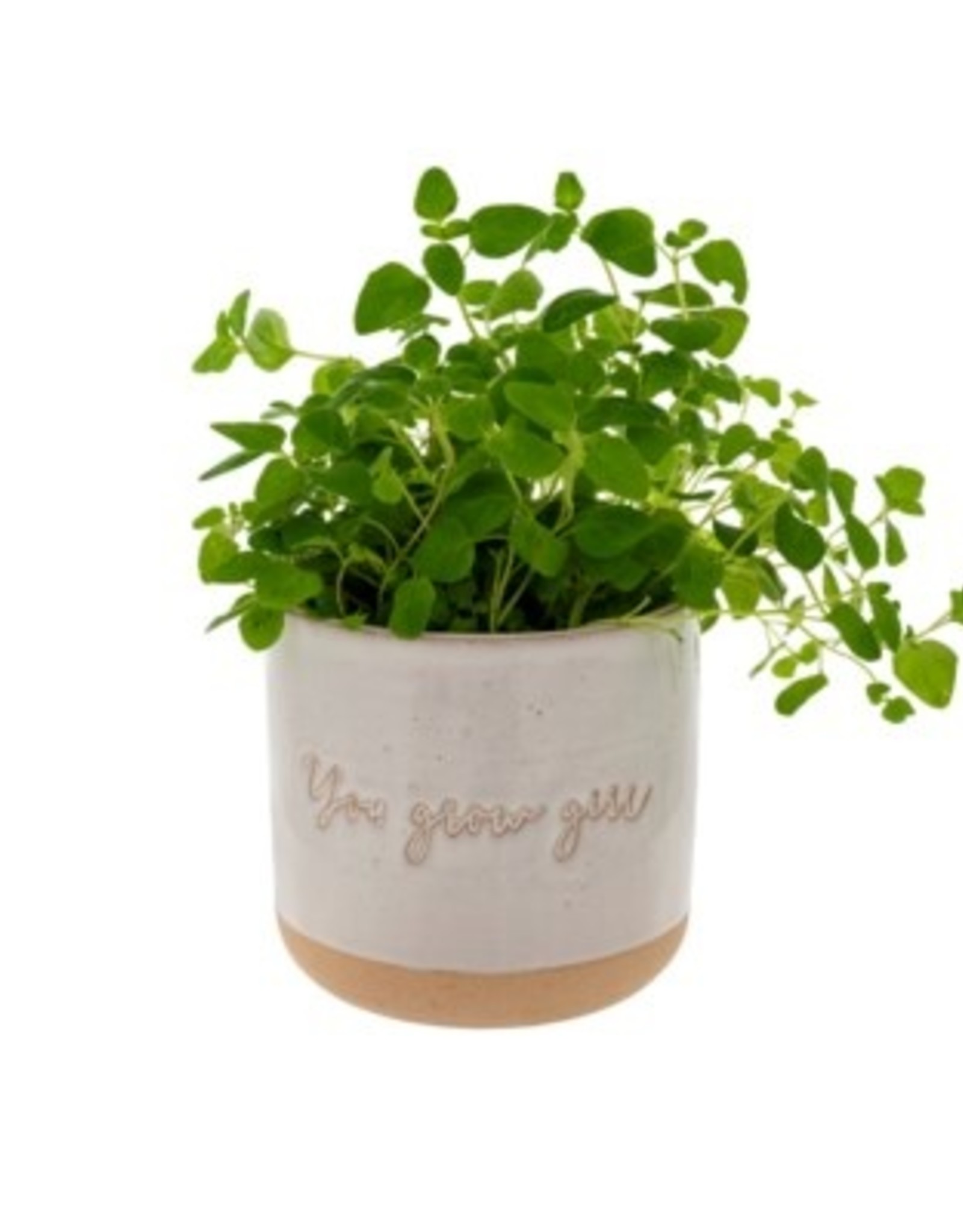 Indaba Planter Pot Indaba You Grow Girl 3-9308