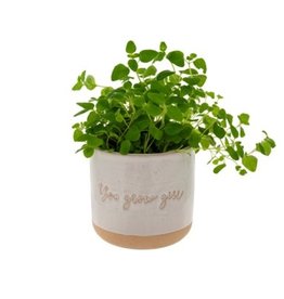 Indaba Planter Pot Indaba You Grow Girl 3-9308