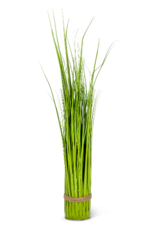 Plant Abbott Tall Grass Bundle 27-SAVANNAH-016