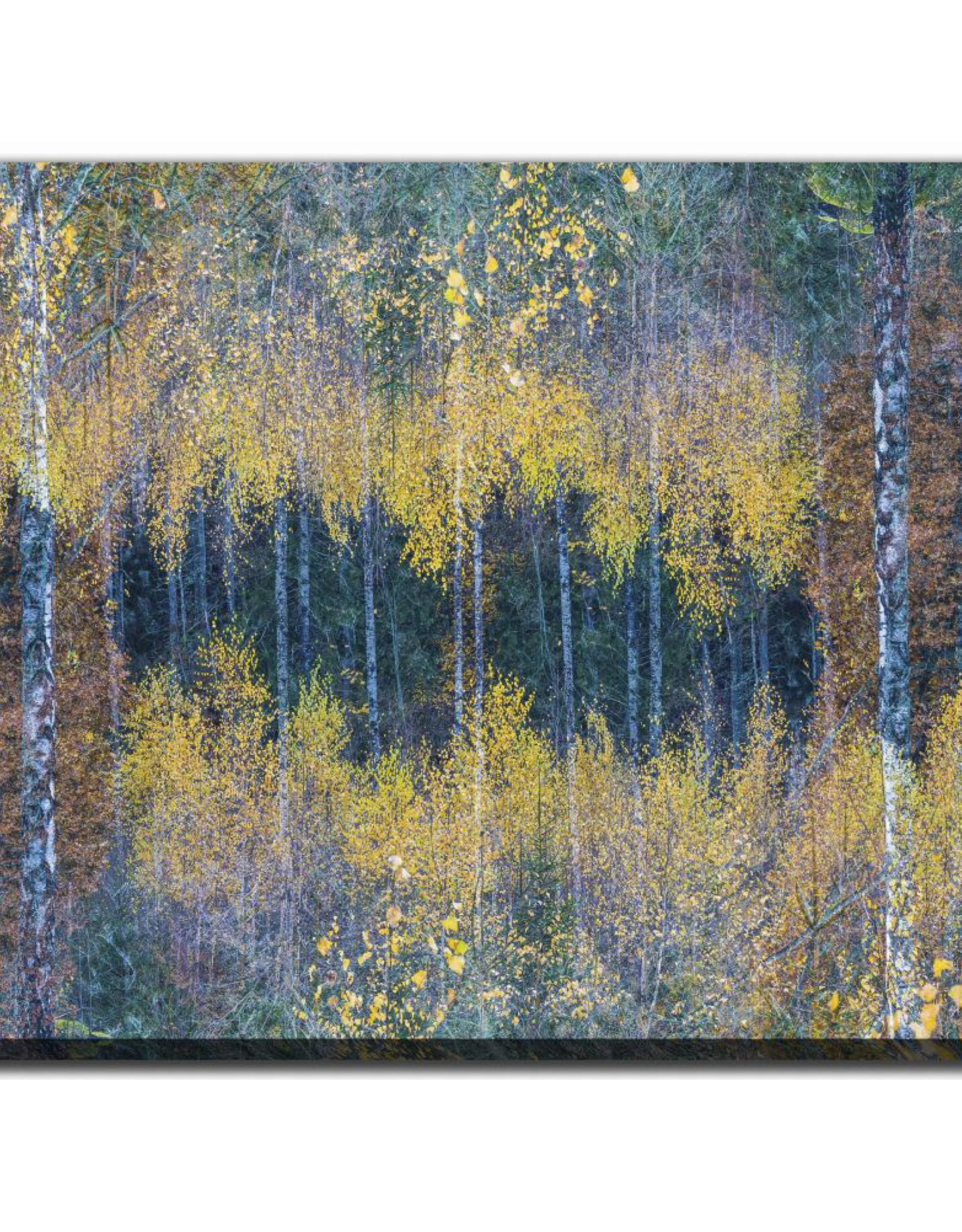 Streamline Art Flourishing Forest 36 x 48 AWE92160