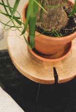 LH Imports LH Organic Martini Table S/2 ORA34