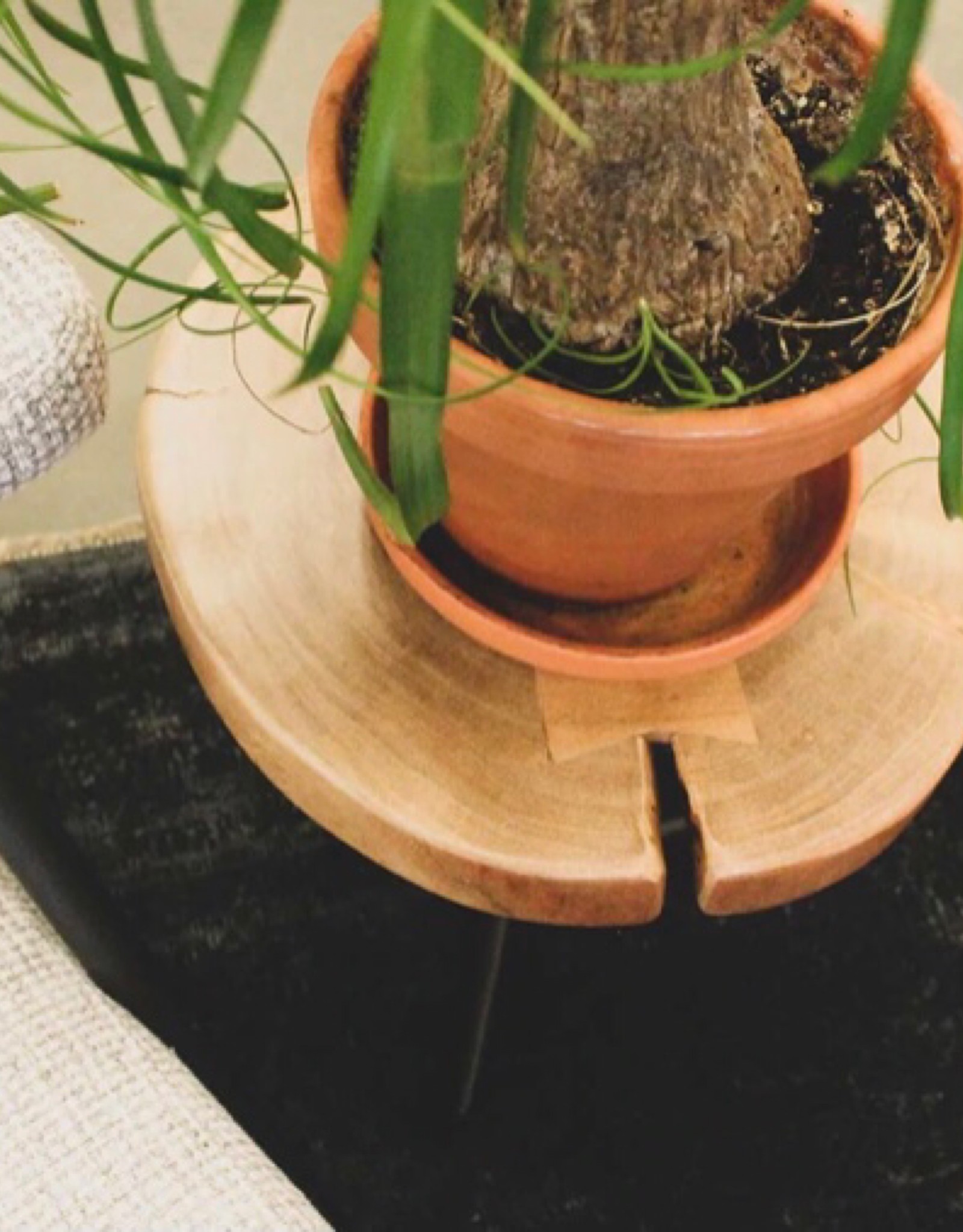 LH Imports LH Organic Martini Table S/2 ORA34