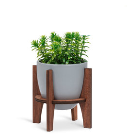 Planter Abbott Grey Pot With Wooden Stand Small