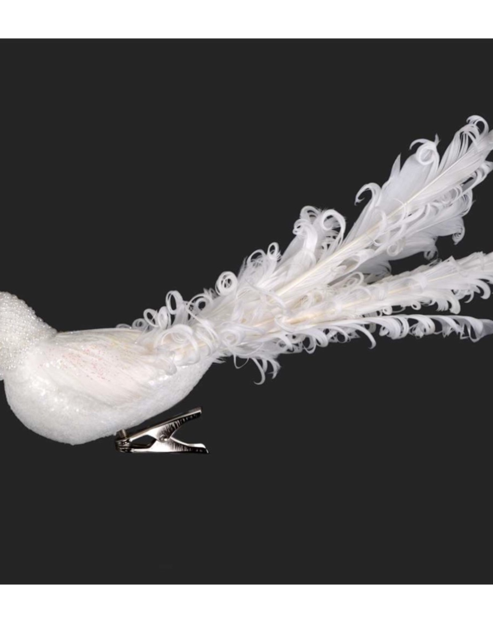 Xmas CT White Curly Feathered Clip Bird F233
