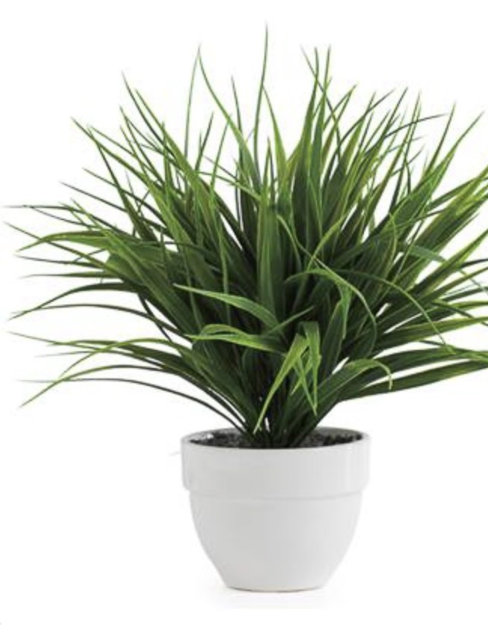 Plant T&T Grass Potted Faux Dark Green  1636-100201