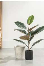 Plant T&T Yucca Tree Faux Potted 55”H  904527