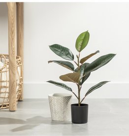 Plant T&T Rubber Tree Faux Potted 21”H  904117A