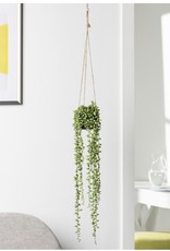 Plant T&T String of Pearls Succulent Hanging Faux Potted w/ String Hanger 904114