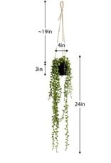 Plant T&T String of Pearls Succulent Hanging Faux Potted w/ String Hanger 904114