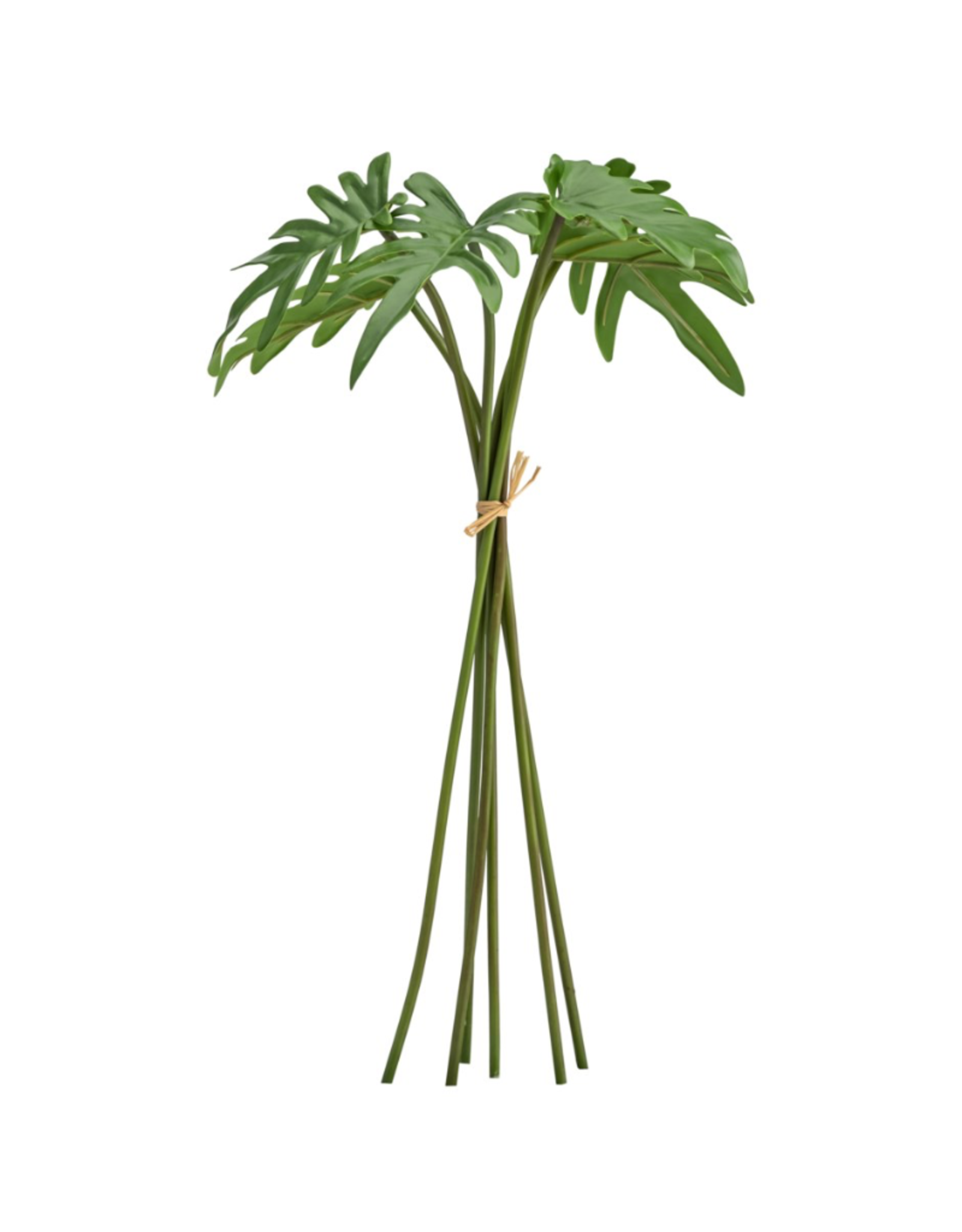 Floral T&T Philodendron Leaf 17”