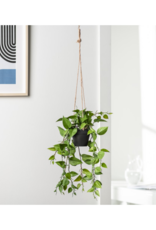 Planter T&T Hanging Ivy 904113 Planter T&T Hanging Ivy 904113