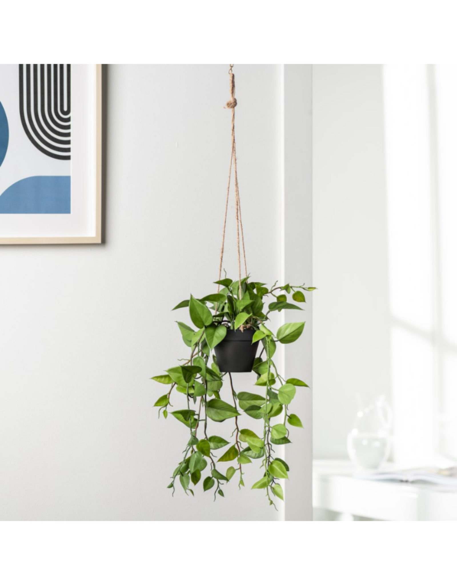 Planter T&T Hanging Ivy 904113