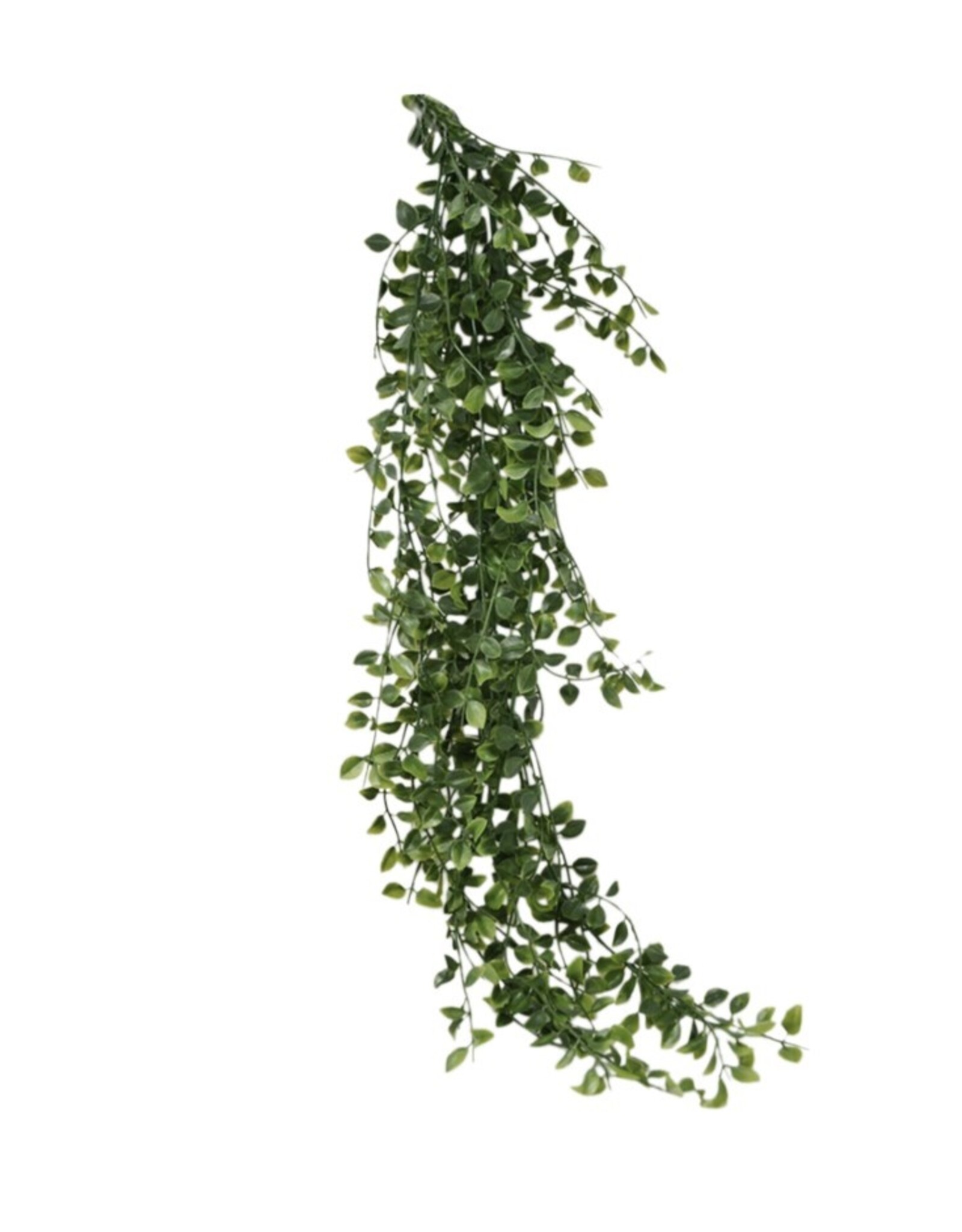 Nostalgia Plant Nostalgia Climber  868-041