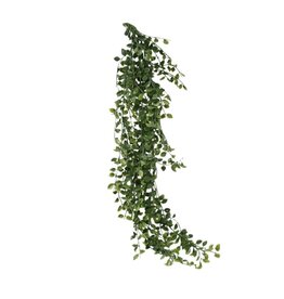 Nostalgia Plant Nostalgia Climber  868-041