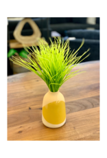 Plant PC Monkey Grass 1060985