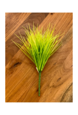 Plant PC Monkey Grass 1060985