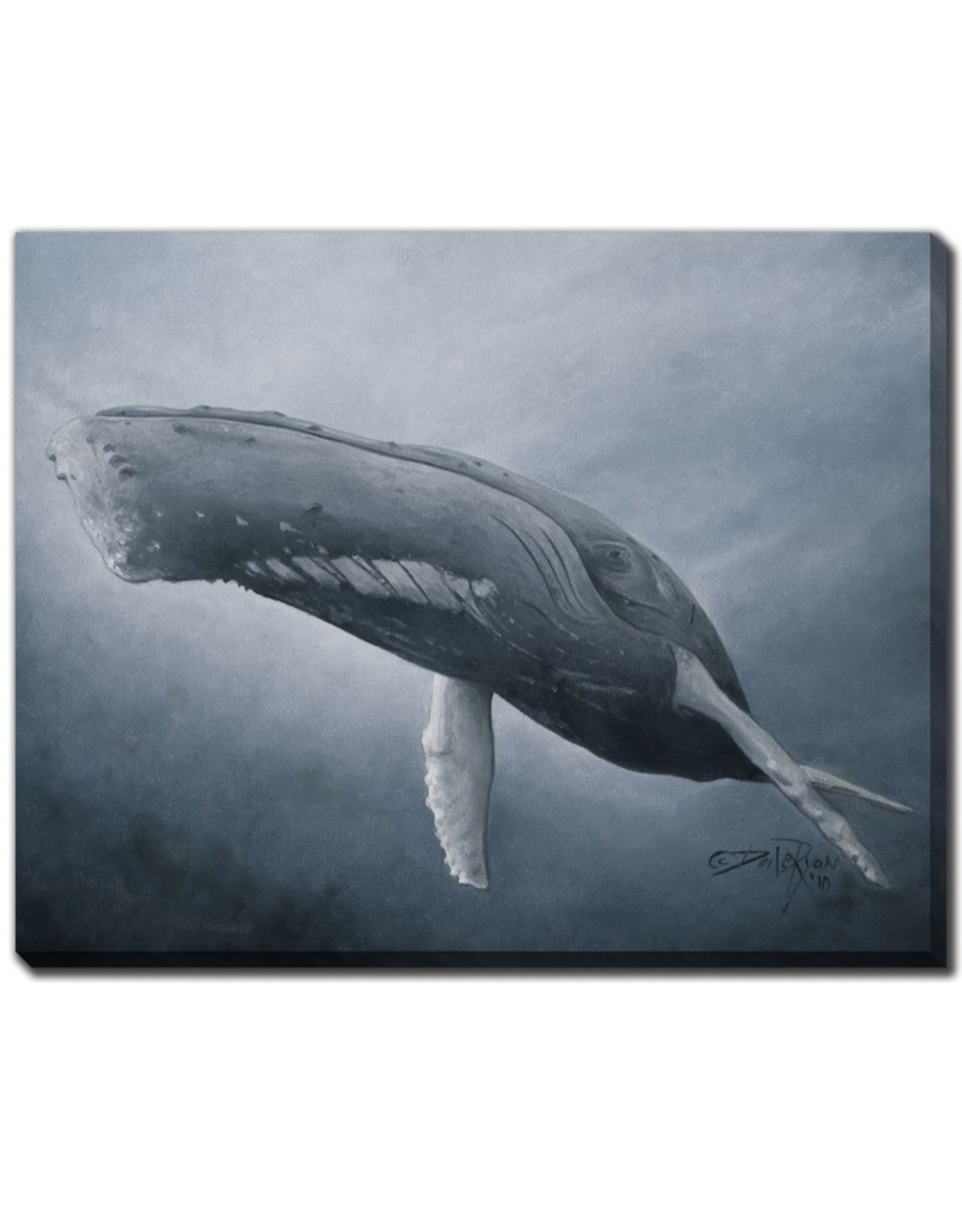 Streamline Art Blue Beauty 30 x 45 DDR2375