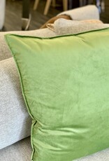 Daniadown Cushions Daniadown Dutch Velvet Spruce Euro 26 x 26