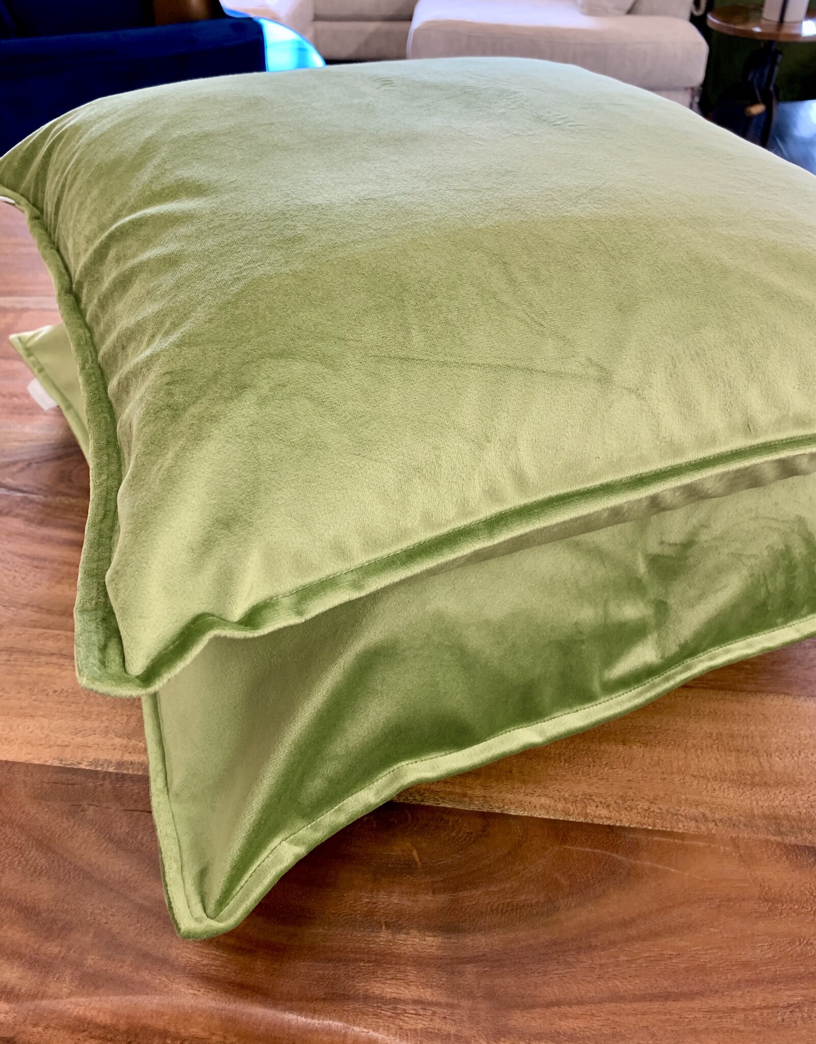 Daniadown Cushions Daniadown Dutch Velvet Spruce Toss 18 x 18