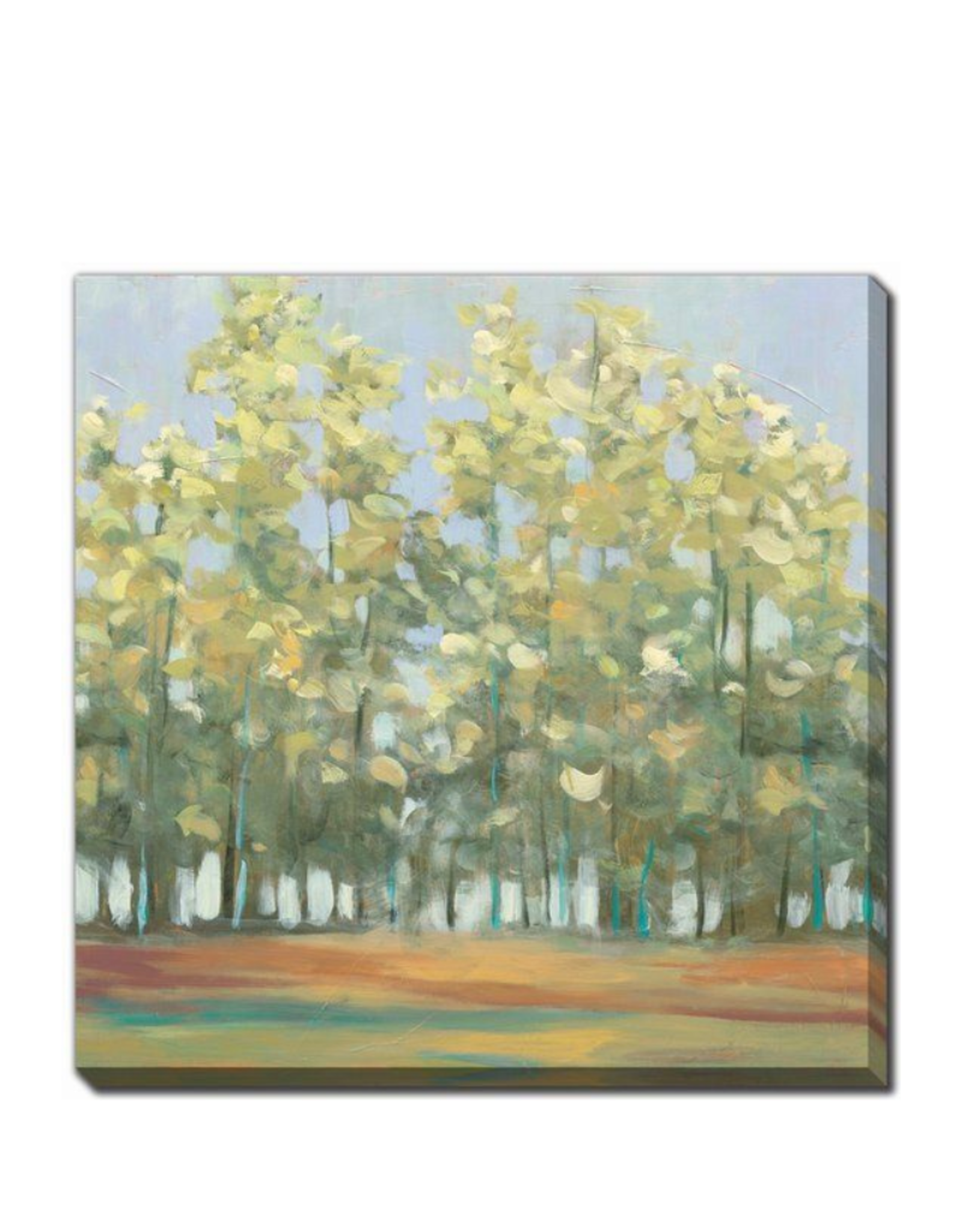 Streamline Art Aspen Grove  ll 24 x 24 CE376-2424