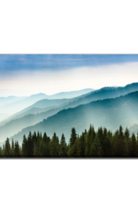 Streamline Art Morning Mist Coniferous 30 x 45 D3518-3045