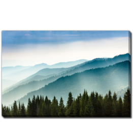 Streamline Art Morning Mist Coniferous 30 x 45 D3518-3045