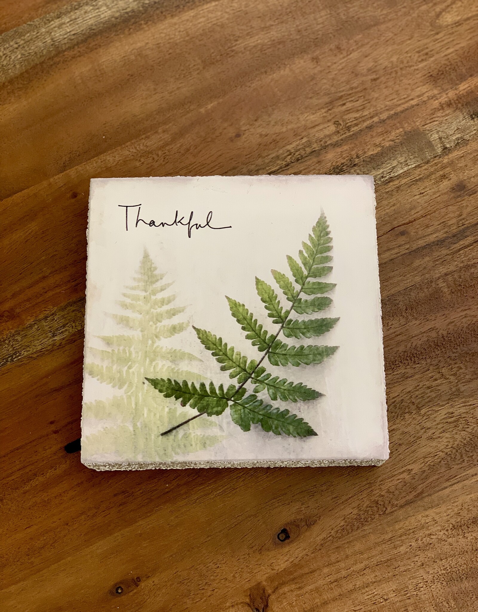 Cedar Mountain Cedar Mountain Art Block Thankful LF5277