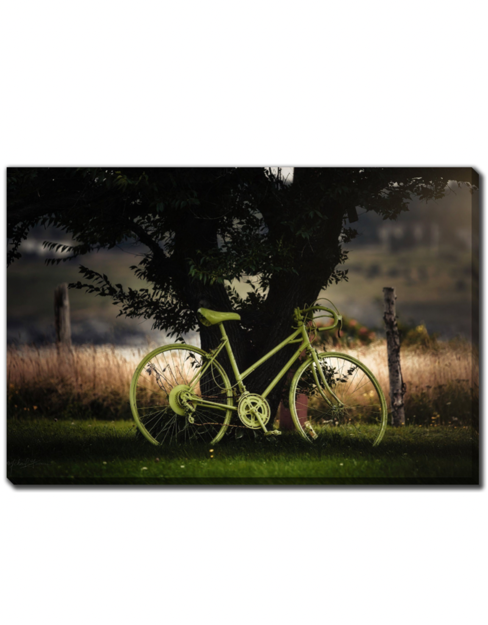 Streamline Art Green Tree Green Bike 30 x 45