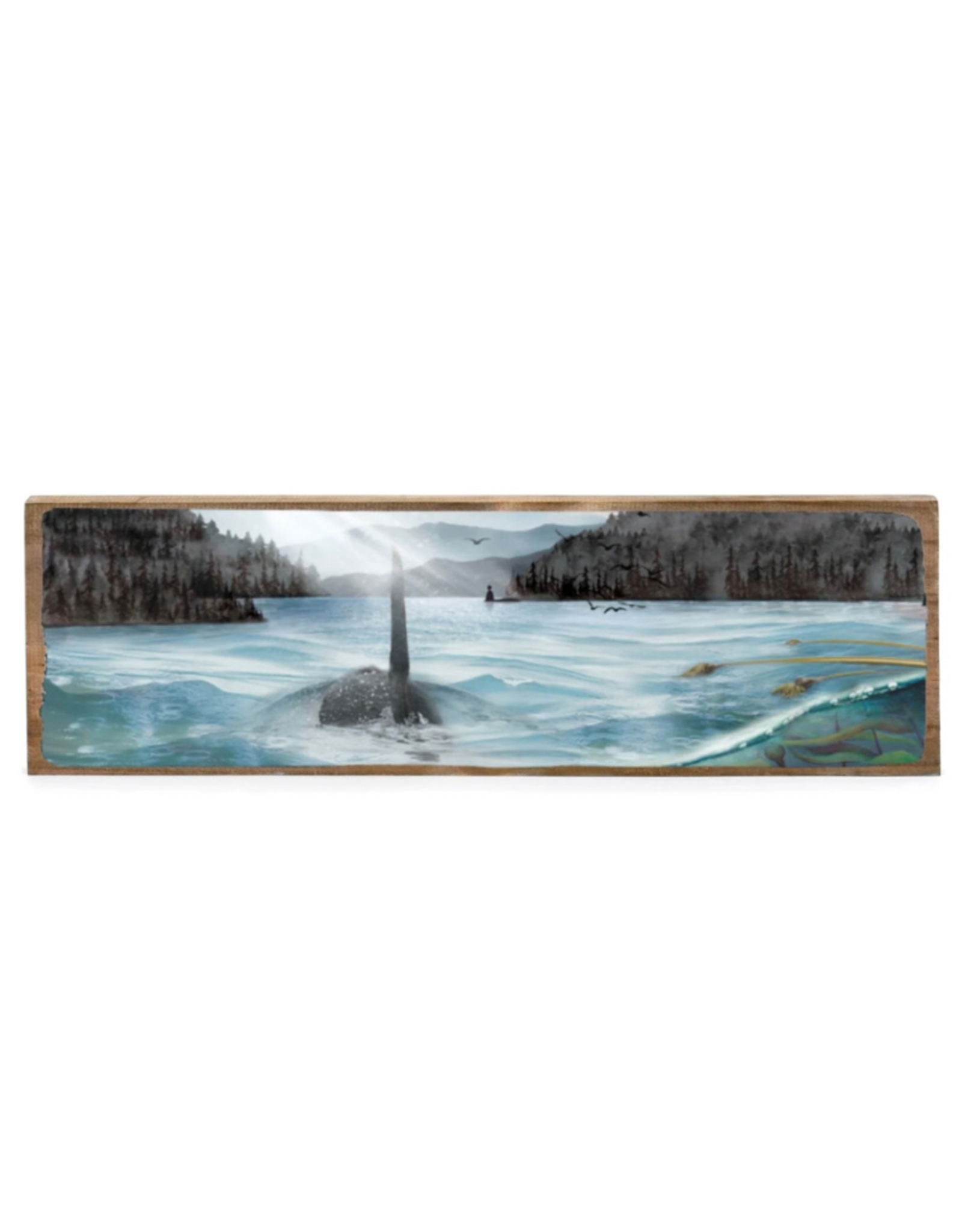 Cedar Mountain Cedar Mountain Tiber Art Orca Straight TA2077