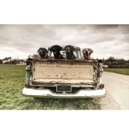 Streamline Art Labradors in Vintage Truck 30 x 45 D3684-3045