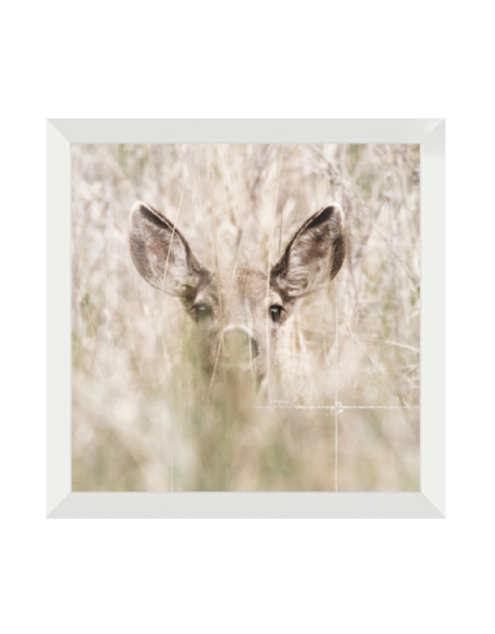 Art Northwood Framed Deer Head N4805