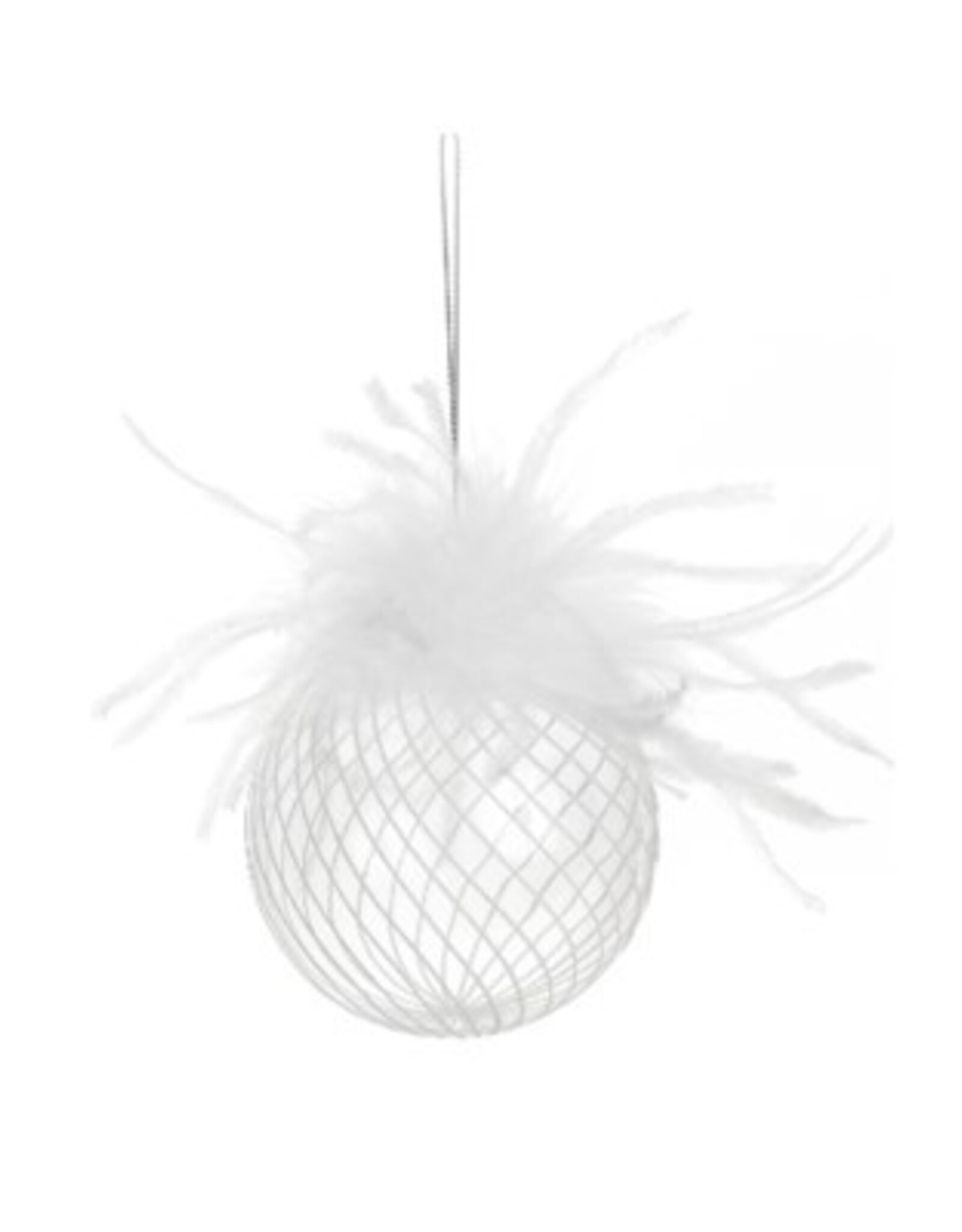 Xmas ADV Ornament Clear Glass Feather 3680312