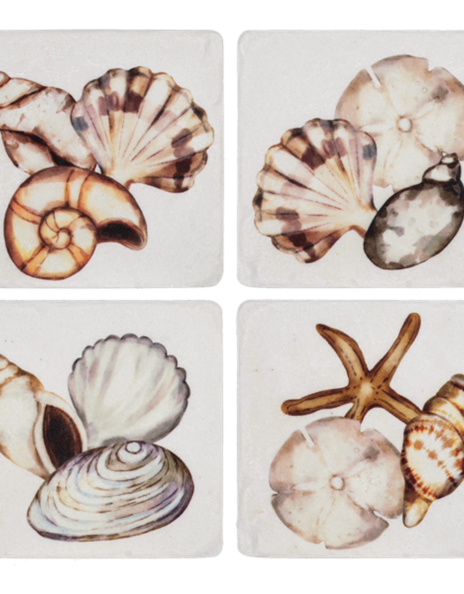Coasters Ganz Shell S/4 CB187290