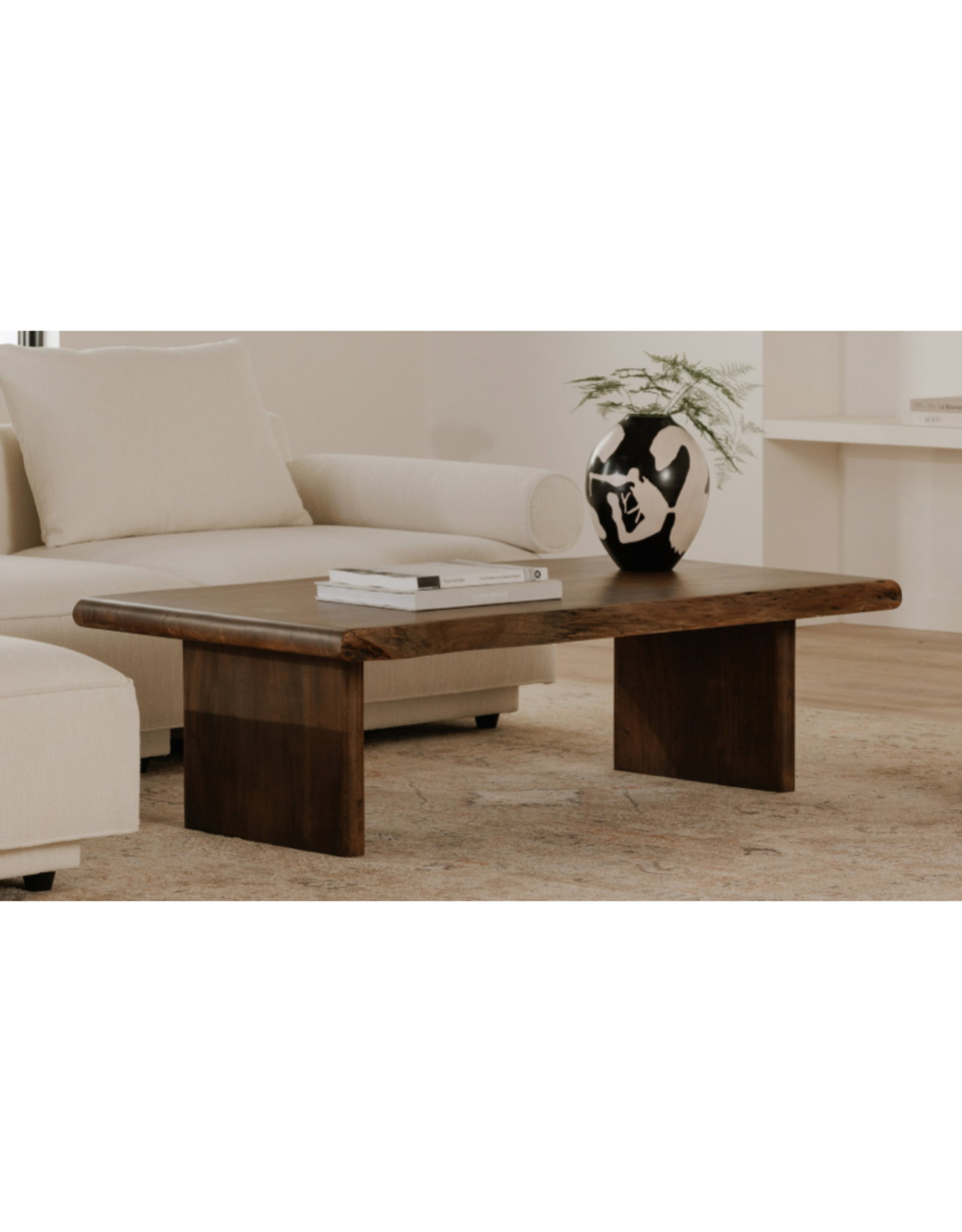 Moes Home Collection Moes Lila Coffee Table  Brown BB-1016-03-0