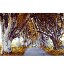 Streamline Art Enchanted Autumn Pathway 30x45