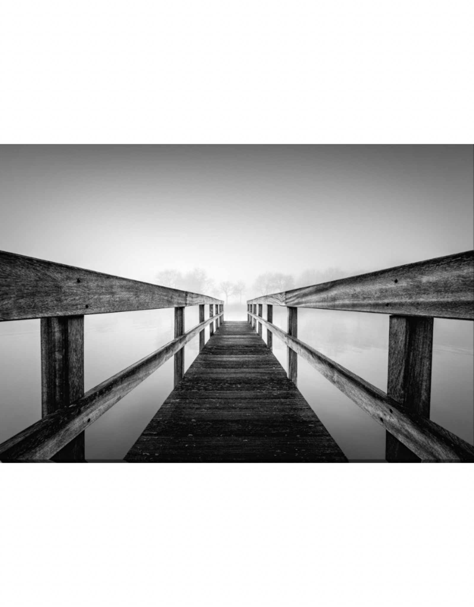 Streamline Art Losing Sight 30 x 45 D3971-3045